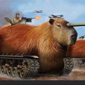 Meet your Posher, Pierce